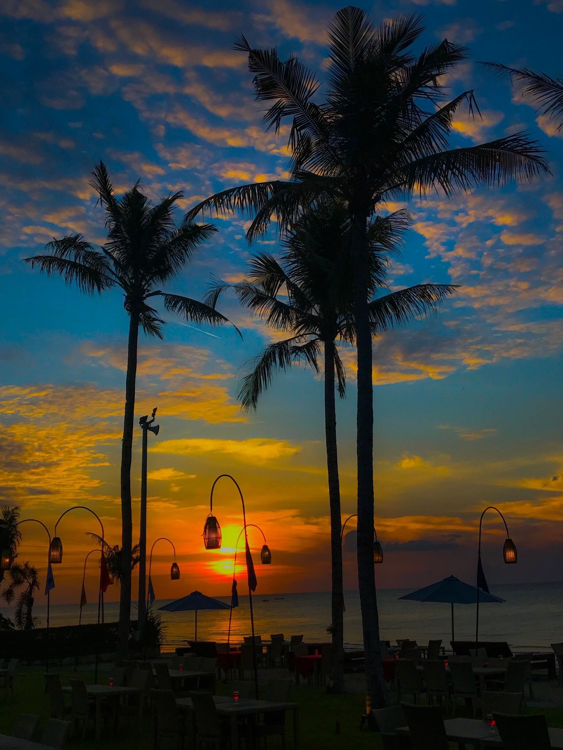 A sunset over the ocean with palm trees and beach chairs.
