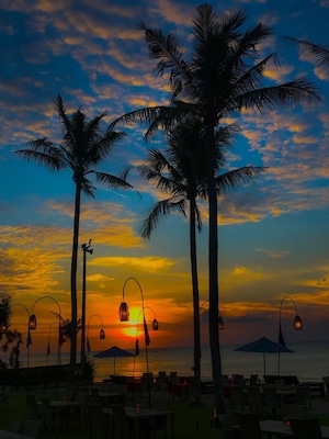 Atardecer sobre el océano con palmeras y sillas de playa.