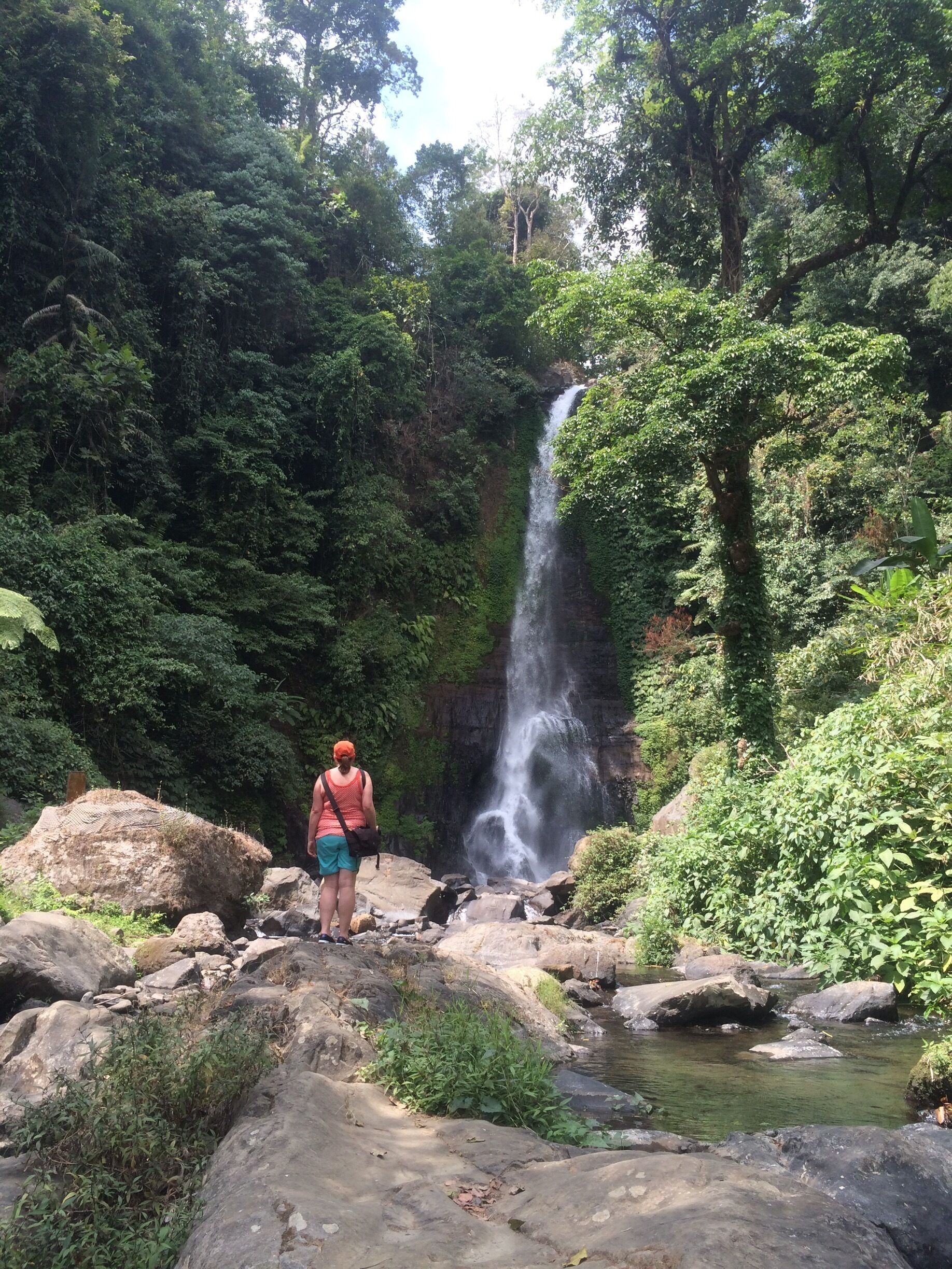 Before heading back south in Bali, we visited GitGit waterfall, which is the second highest (50m) in Bali 
