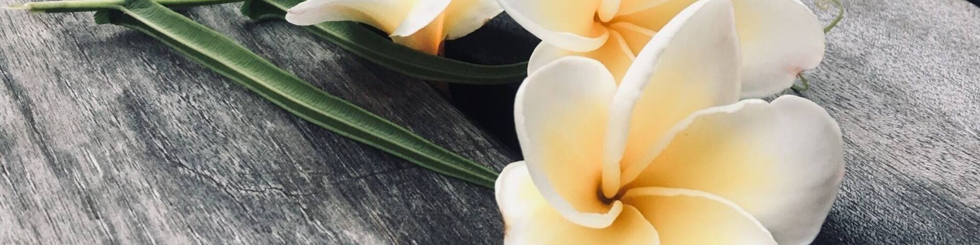 The Damai. What a beautiful hotel. Perched on a hill outside sleepy Lovina. Quiet luxury and peace in a stunning natural setting.