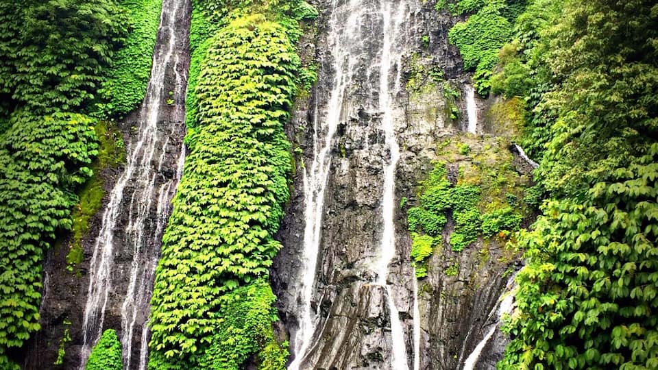A multi-tiered waterfall surrounded by lush green foliage.
