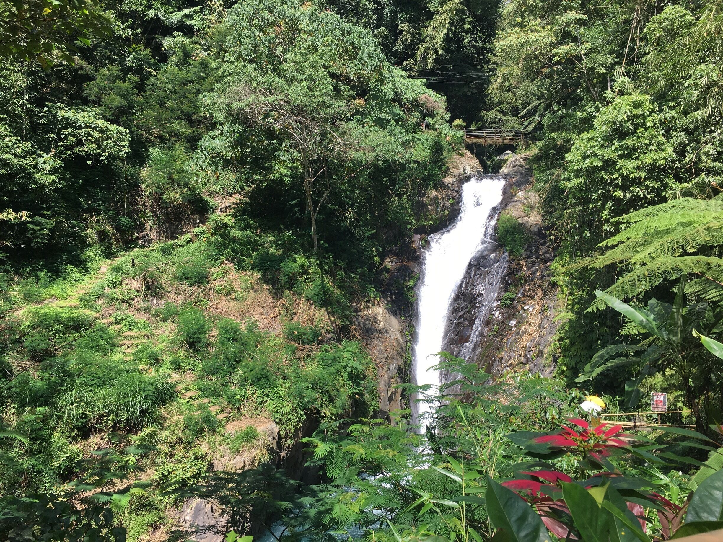 A waterfall surrounded by lush greenery.