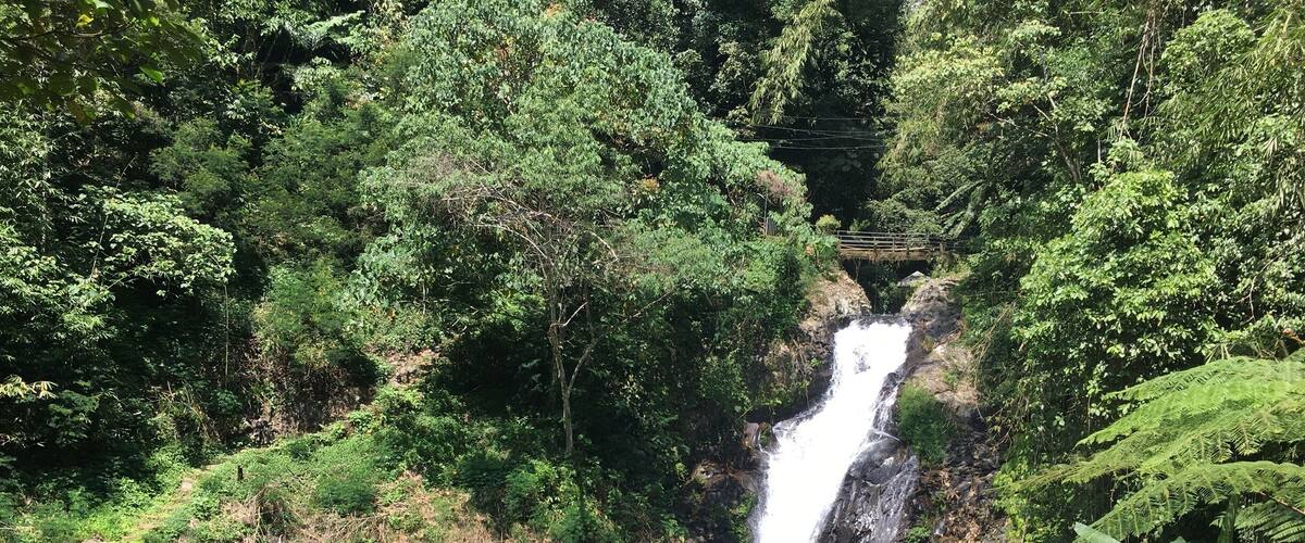A waterfall surrounded by lush greenery.