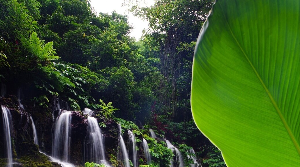 Incredible location! You must check this out!