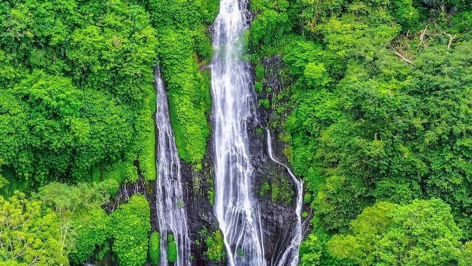 A waterfall cascading through a lush, green forest.