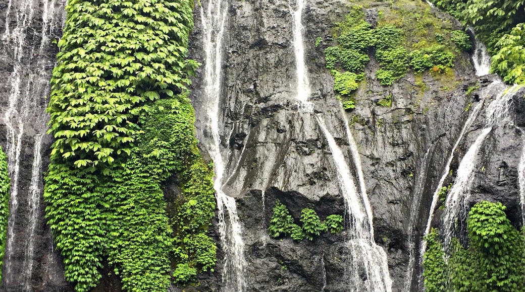 Bali, Indonesia
Banyumala Waterfall