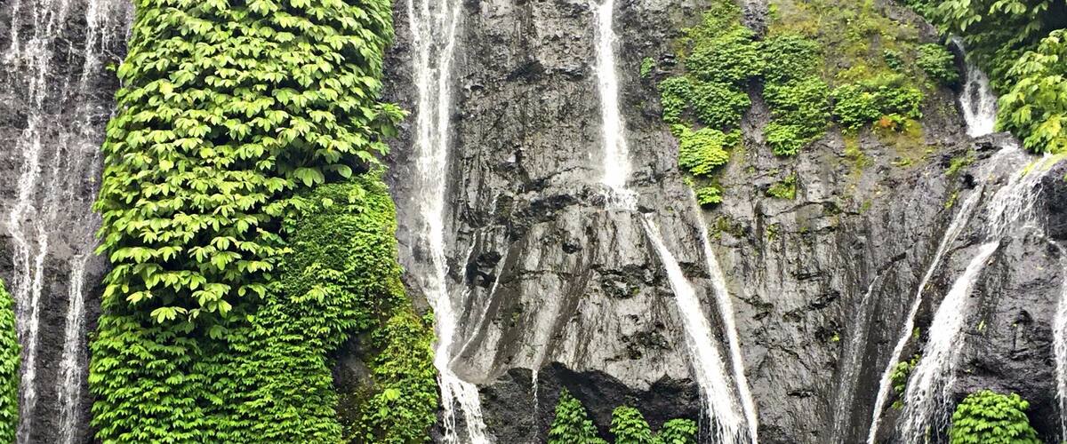 A waterfall surrounded by lush greenery.