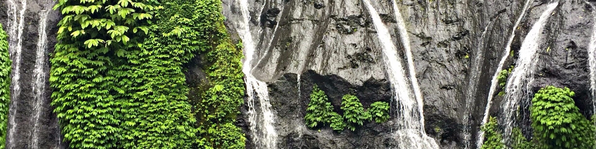 A waterfall surrounded by lush greenery.
