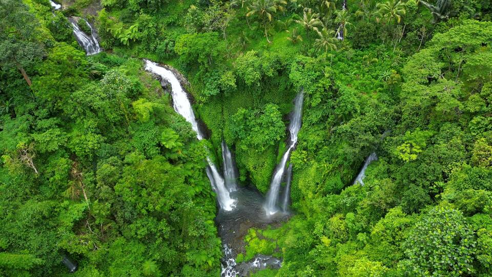 A lush green forest with multiple waterfalls.