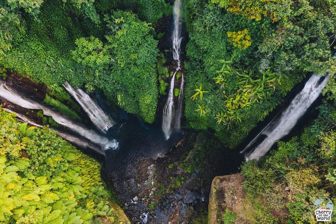 The amazing mother nature! 💚

#cherryontheworld #adventure #indonesia #bali #fijiwaterfall #waterfalls #sabbatical