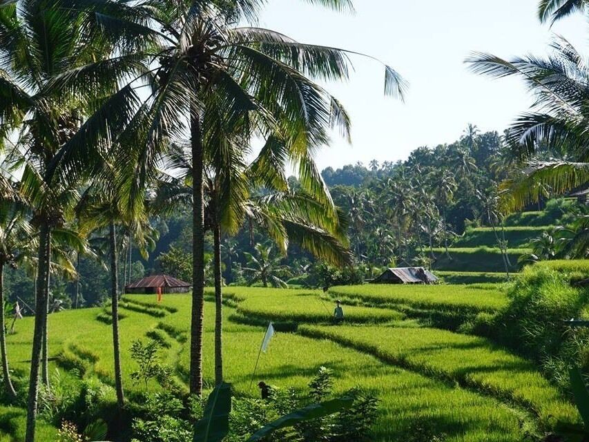 🇮🇩 Bali, Indonesia #LifeAtExpedia