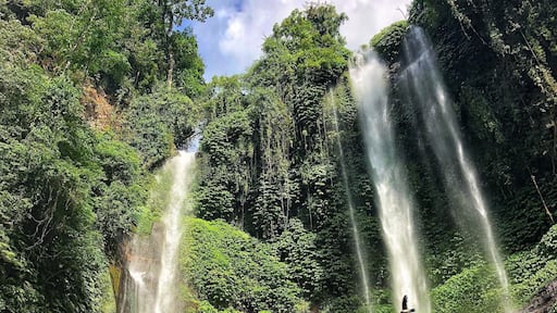 Sekumpul waterfall in Bali is full of powerful vibrations. Upon the entrance, you’ll require a guide to access the falls and you must walk to get there. It’s worth it because you’ll get to know the history of this area and have the pleasure of meeting the families currently residing on the land. At the falls, there are exotic plants, butterflies, birds and beauty all around. I was lucky enough to have this moment of my grand #Adventure captured with this beautiful bird also included!