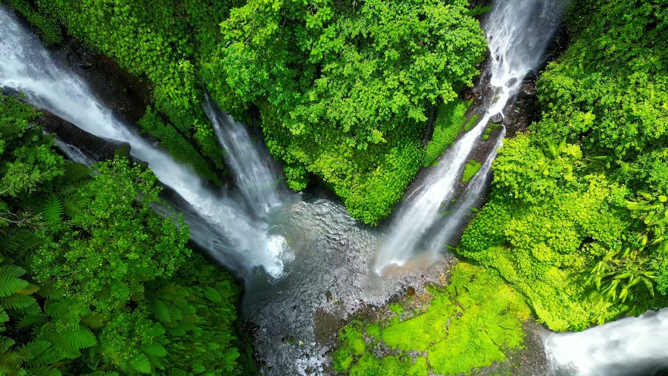 A waterfall cascading through a lush, green forest.