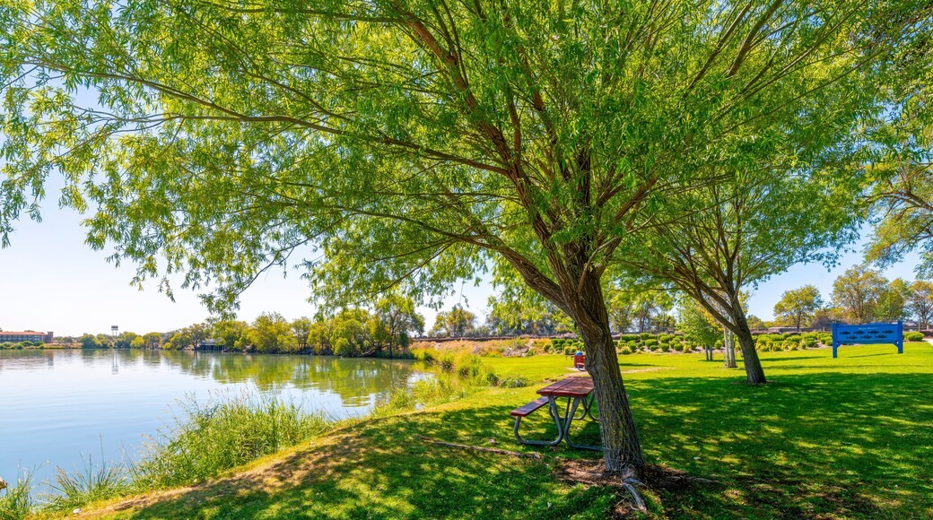 A shady tree covered picnic area at the public Blue Heron Park and Fishing Pier along the shores of Moses Lake in the Central Washington city of Moses Lake, Washington USA.