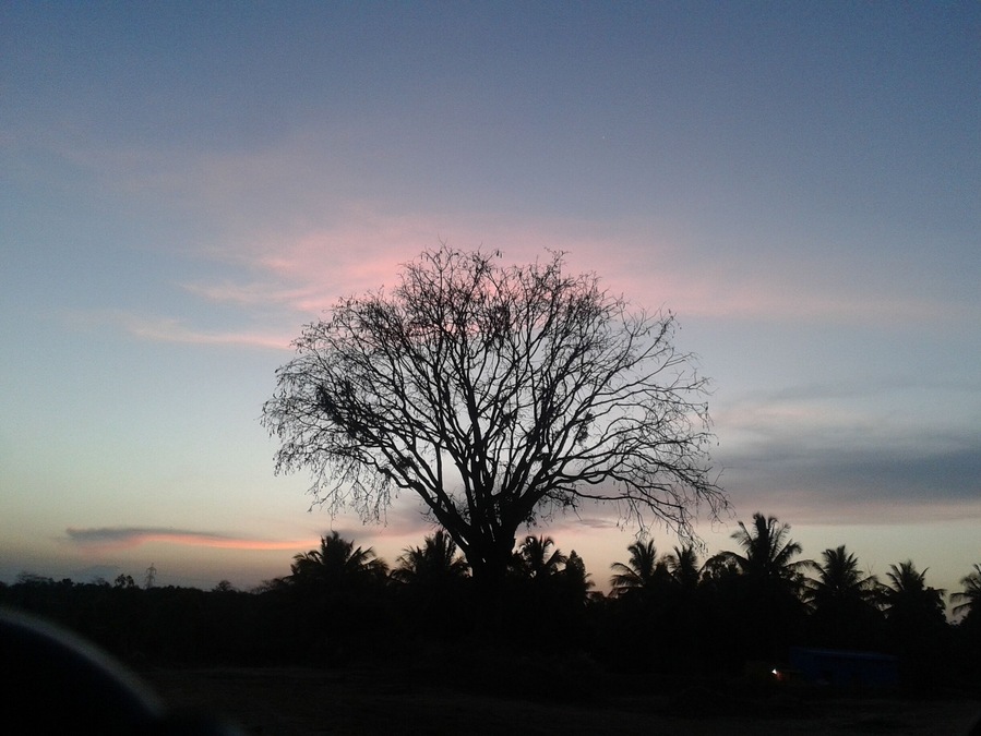 Beauty of Nature...