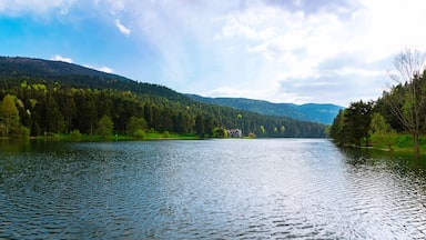 Panoramic view of Bolu Golcuk Nature Park in Turkey.