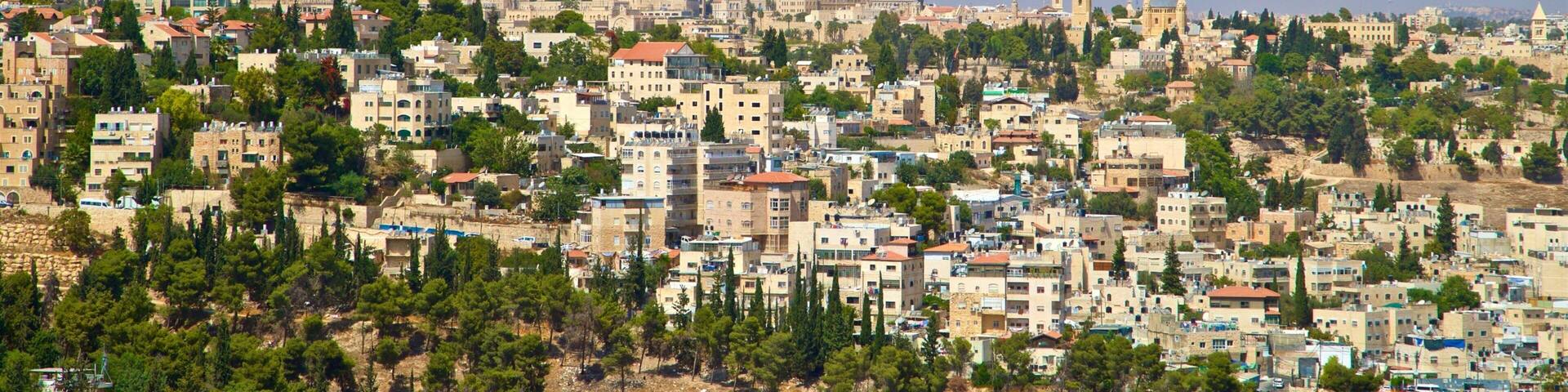A densely built urban area with a mix of residential and commercial buildings, surrounded by green hills and scattered trees.
