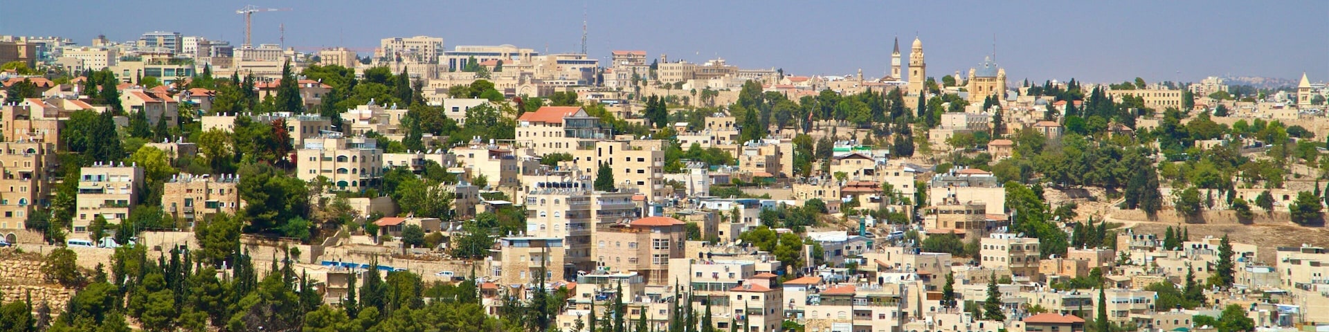 Tayelet Haas que inclui paisagem e uma cidade