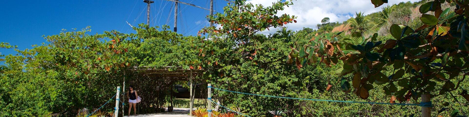 A wooden pathway leading to a shipwreck with three masts, surrounded by lush greenery and a clear blue sky.