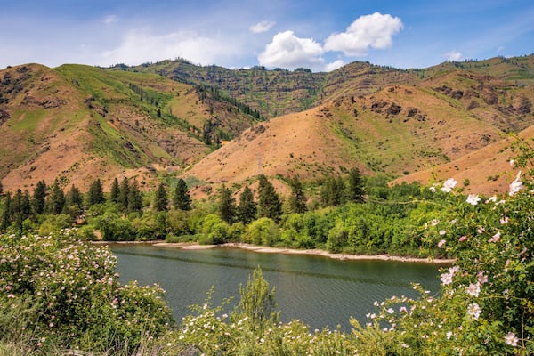 Winding River of Hells Canyon National Recreation Area