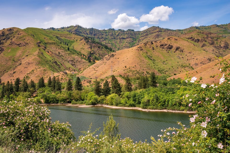 Un río serpentea por un valle con colinas y árboles verdes.