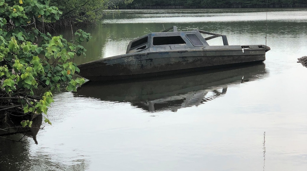 Abandoned boat below the bridge