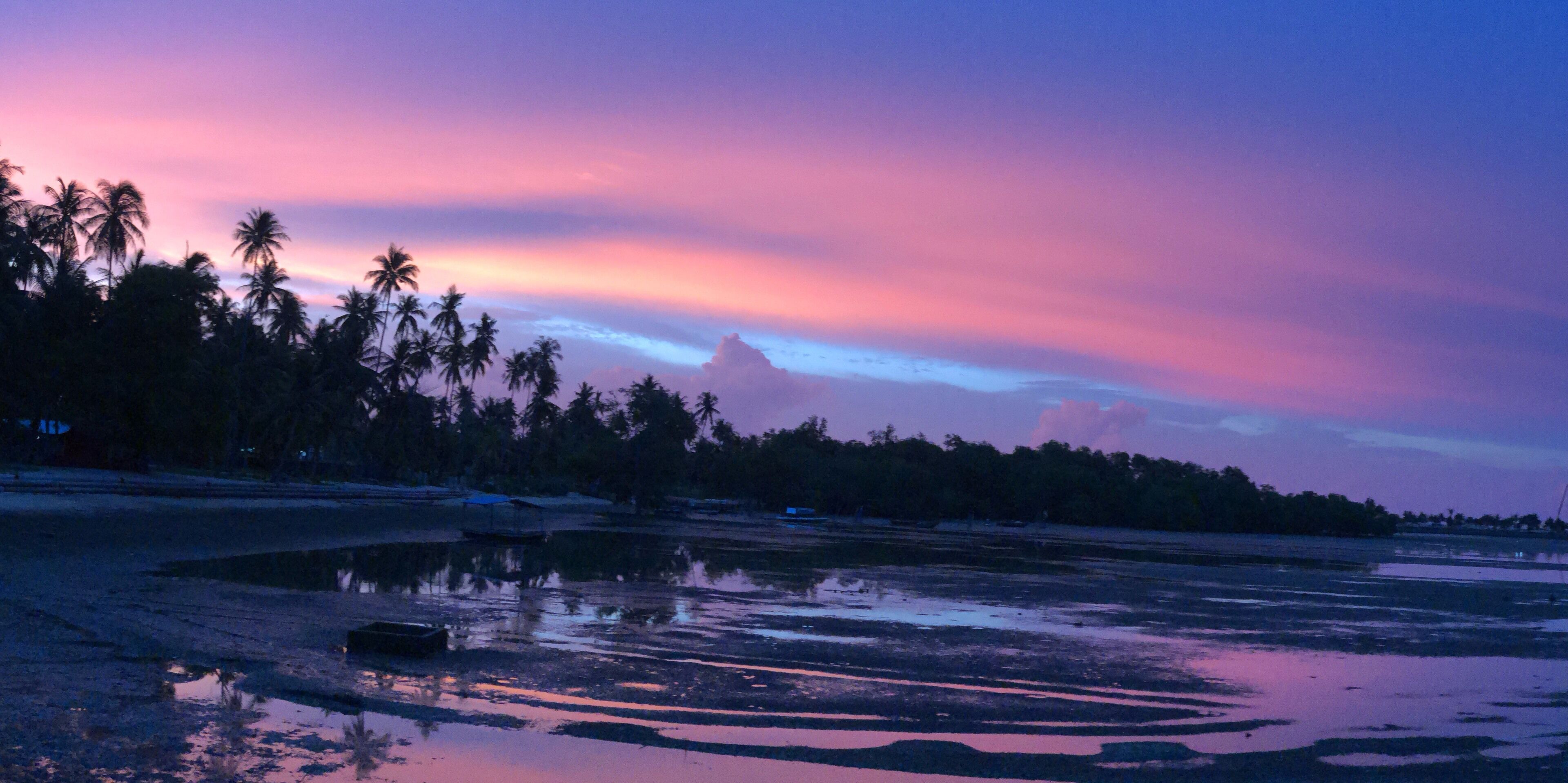 Nice and reasonably priced seafood restaurant