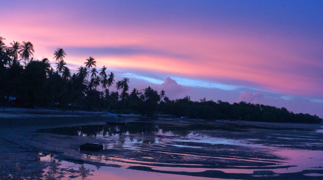 Nice and reasonably priced seafood restaurant