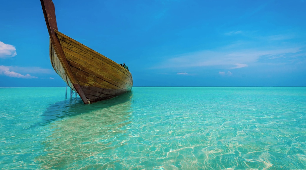 On a snorkelling trip we lunched at a pristine tropical island with no one on it. Turquoise waters and blue sky made it the stuff of dreams.
The north of Indonesia is amazing, so different from Bali and the like. Fly into Singapore and get the ferry to Batam Island about 45 minutes away. #beachtips #bvsblue