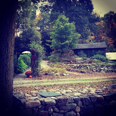 Fantastic place to see the leaves and have a glass of wine or two