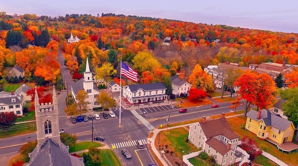A beautiful aerial view of the center of my hometown, an idyllic country town in Fairfield County, CT. Now known worldwide for the tragedy of Sandy Hook, we who grew up there want to always show our town for what it always should have been...a great place to grow up! Thanks, Mike, for capturing its essence so well!