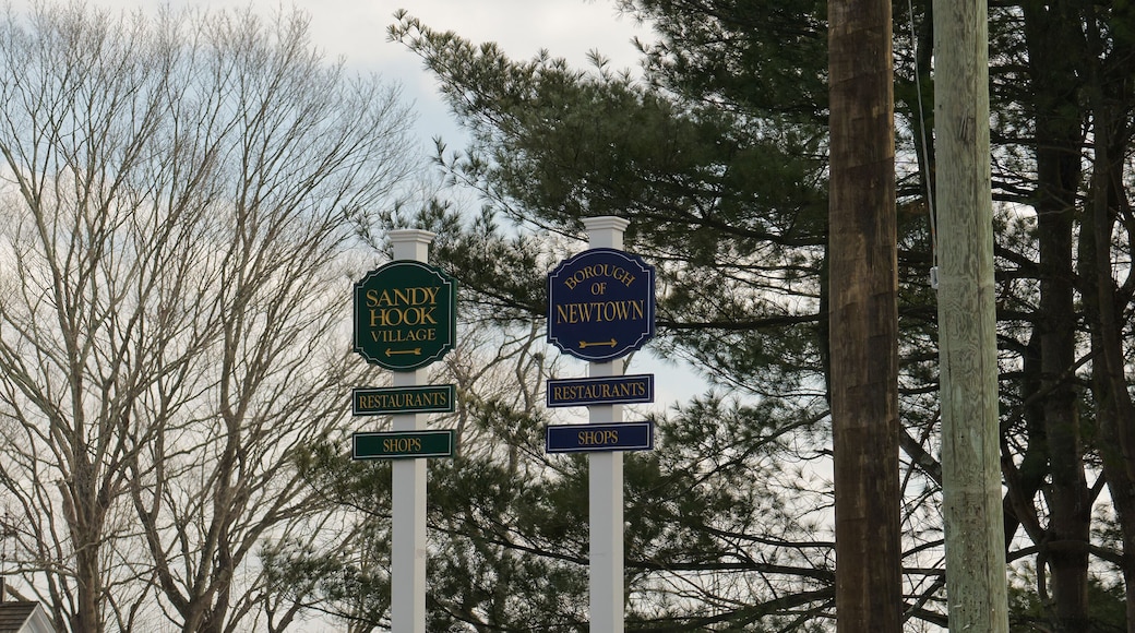 signs in Newtown, Connecticut directing to the Borough of Newtown and Sandy Hook Village, restaurants and shops