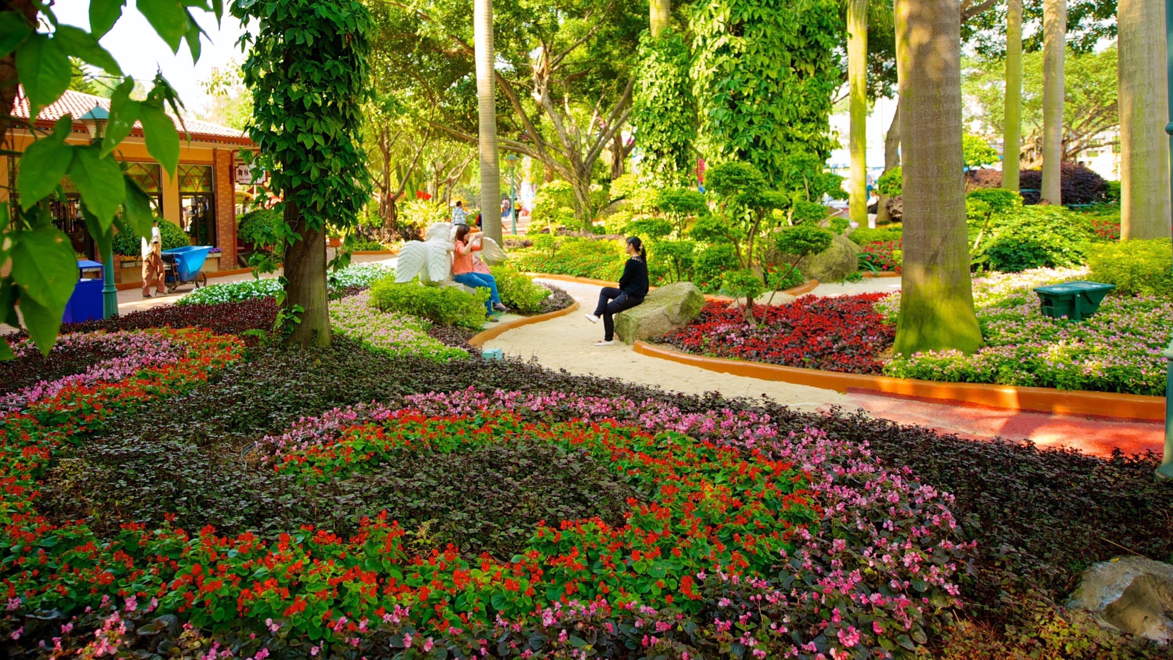 Chimelong Paradise showing a garden and flowers