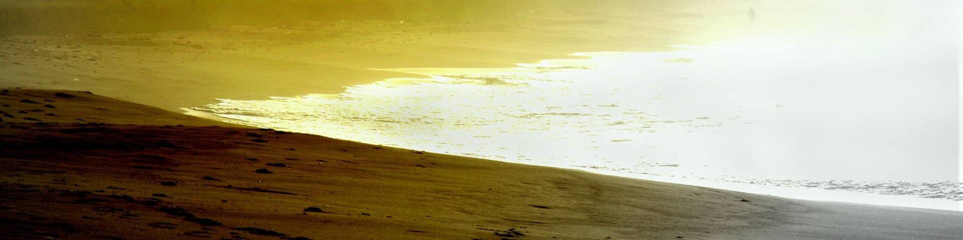 A beach with palm trees and a hazy atmosphere.