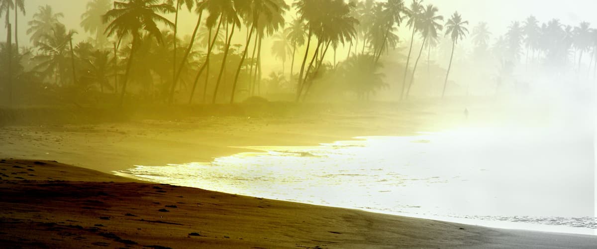 A beach with palm trees and a hazy atmosphere.