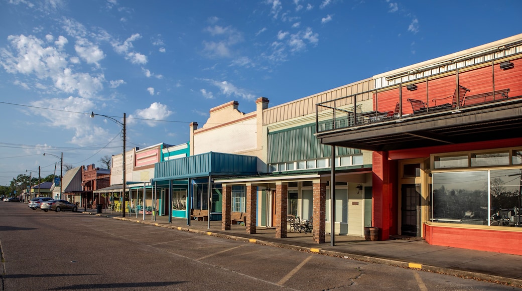 Port Arthur LA Misc Landscapes