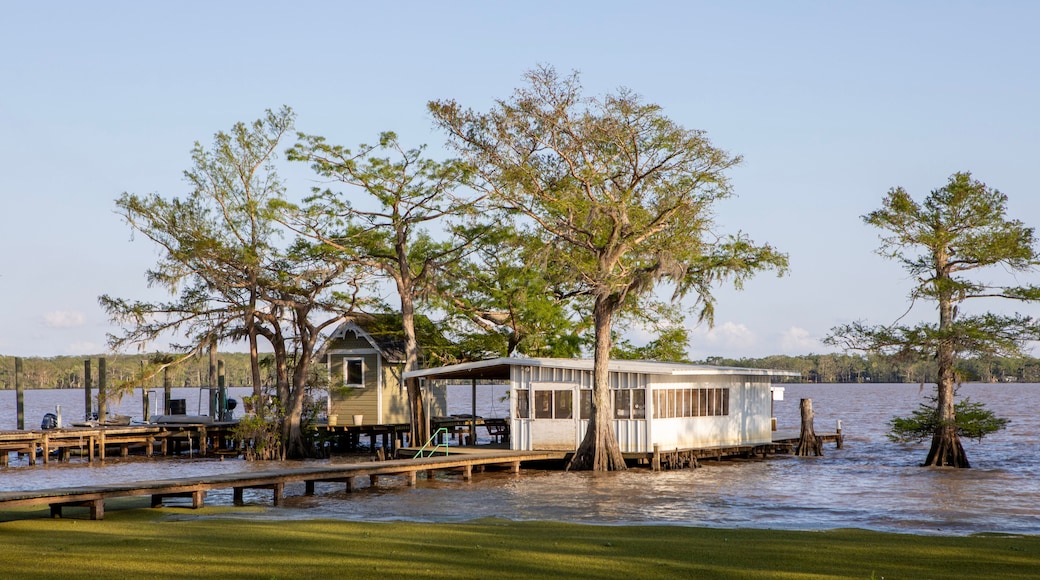 Port Arthur LA Misc Landscapes
