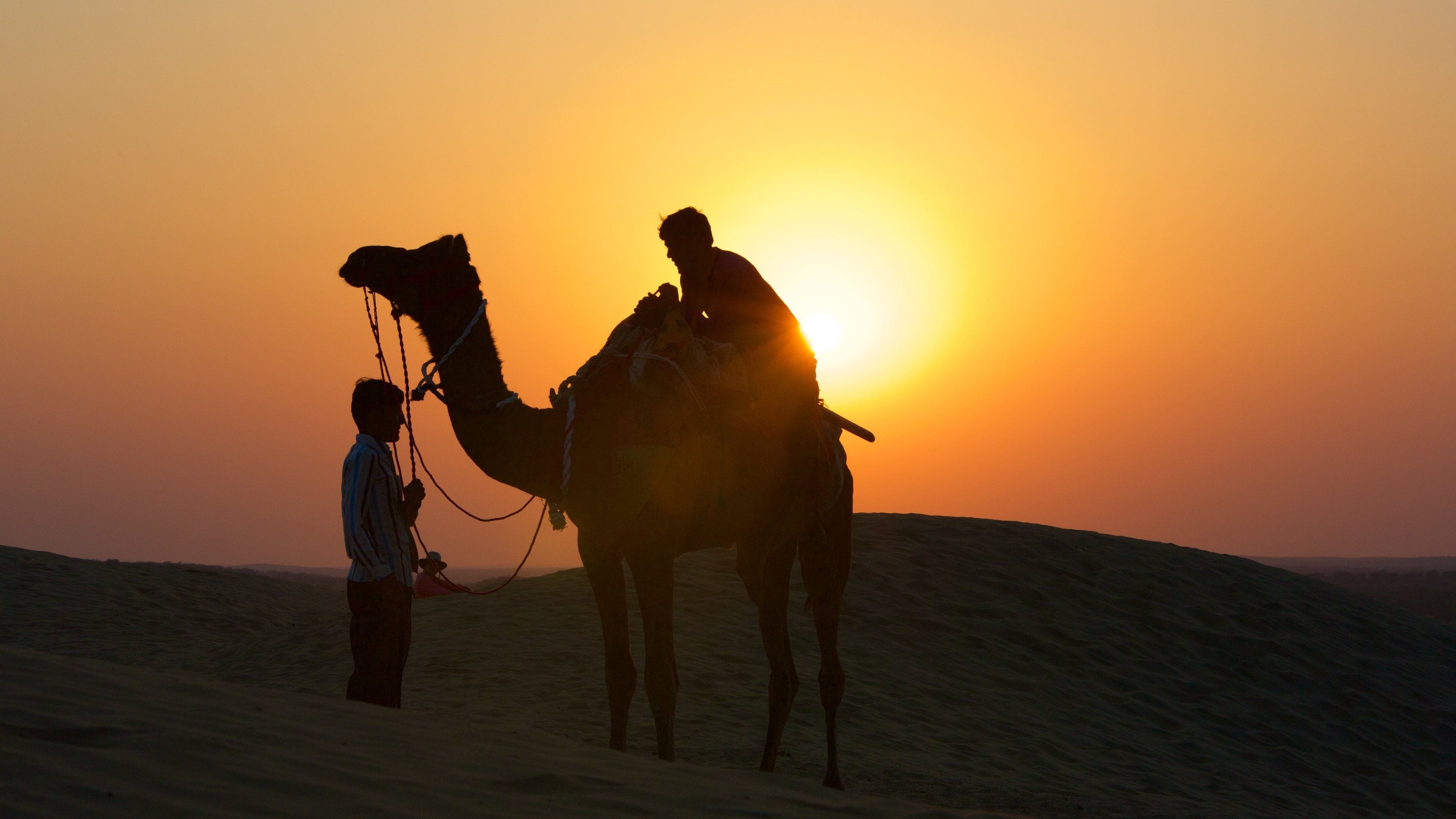 Khuri Sand Dunes featuring land animals, a sunset and desert views