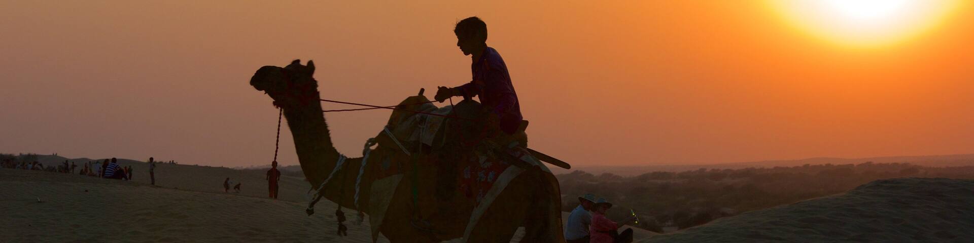 Khuri Sand Dunes showing desert views, a sunset and land animals