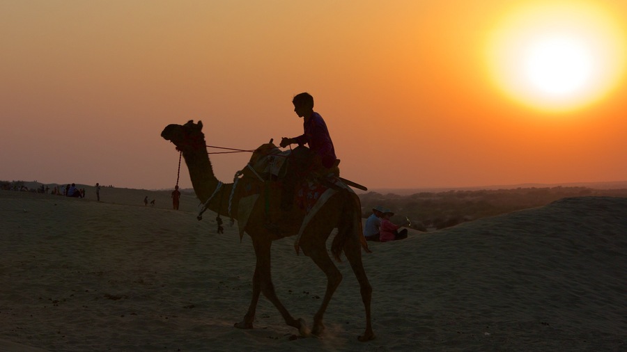 Khuri Sand Dunes showing a sunset, desert views and land animals