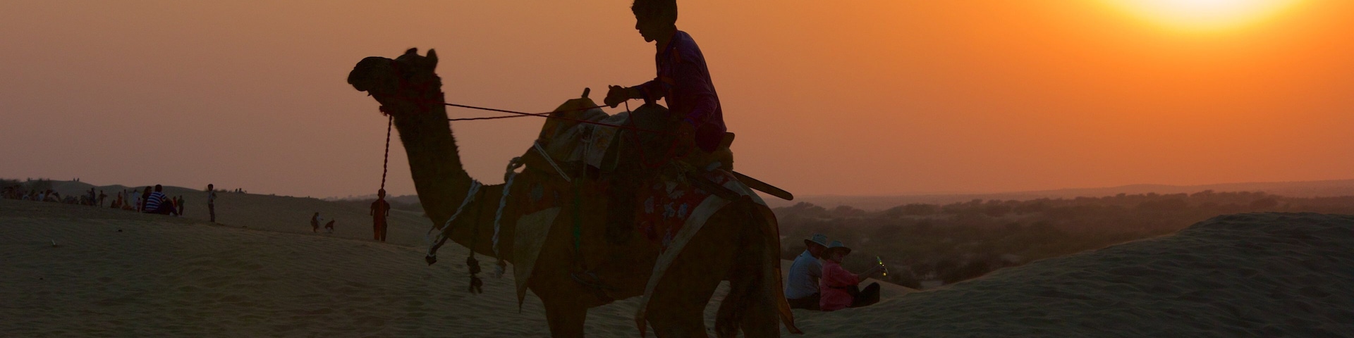 Khuri Sand Dunes showing desert views, a sunset and land animals