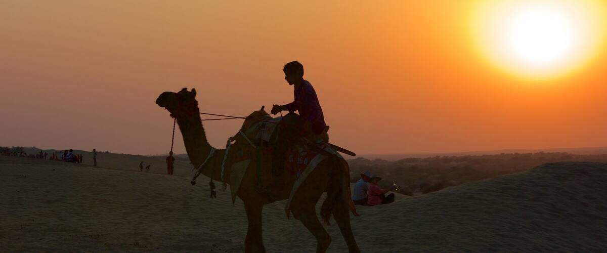 A camel with a rider in the desert at sunset.