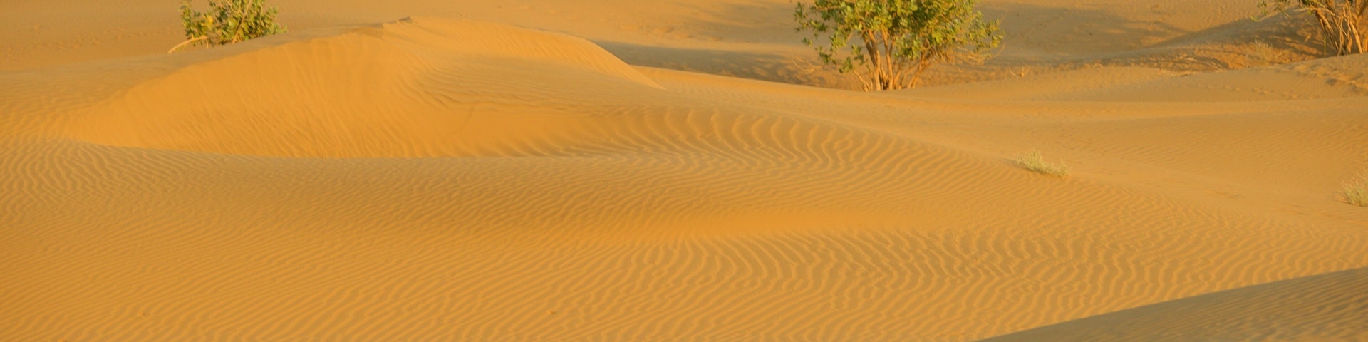 Dunas de arena de Khuri que incluye paisajes desérticos y situaciones tranquilas