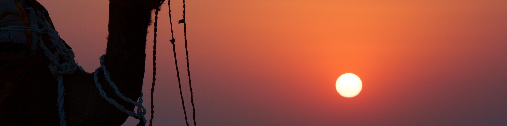 Khuri Sand Dunes showing animals, land animals and a sunset