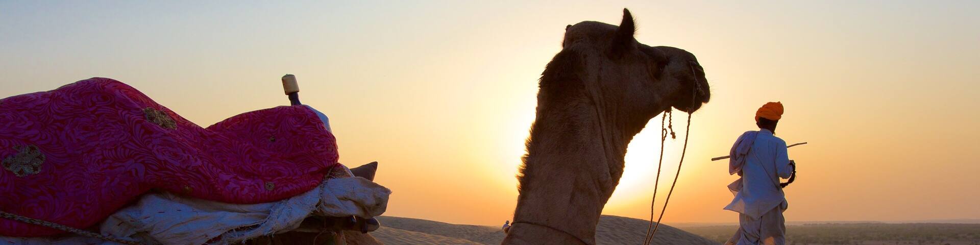 Khuri Sand Dunes showing a sunset, desert views and land animals