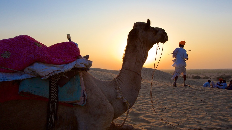 Khuri Sand Dunes which includes desert views, a sunset and land animals