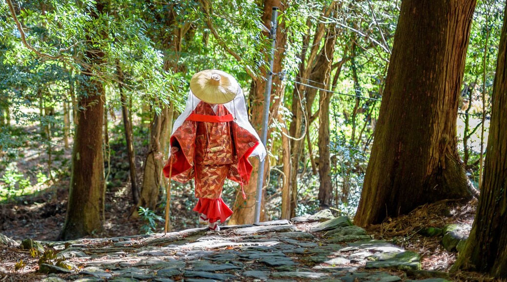 Đền Kumano Nachi Taisha