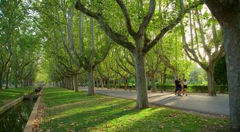 Primo de Rivera Park