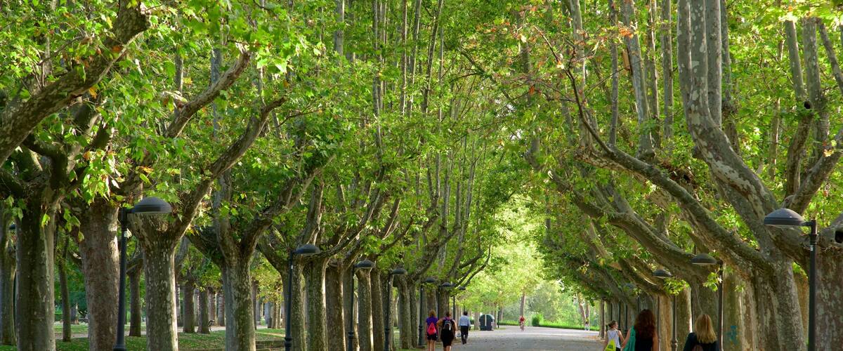 Primo de Rivera Park