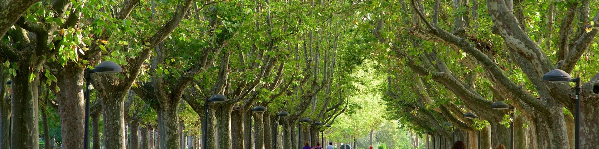 Primo de Rivera Park